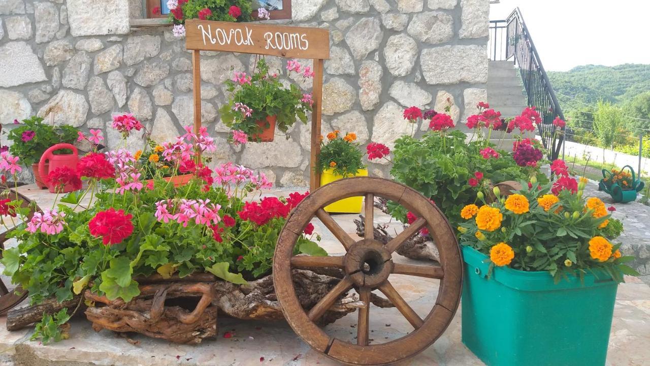 Village House - Novak Rijecani Rijeka Crnojevića Exteriér fotografie