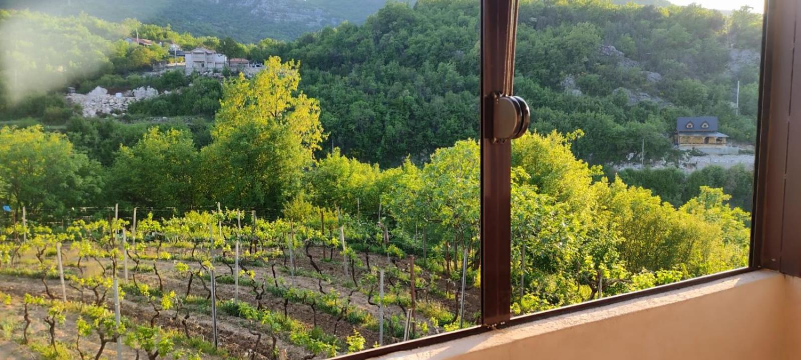 Village House - Novak Rijecani Rijeka Crnojevića Exteriér fotografie