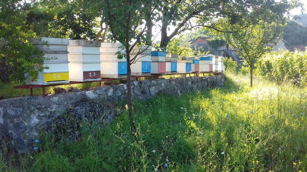 Village House - Novak Rijecani Rijeka Crnojevića Exteriér fotografie